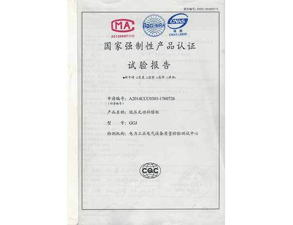 GGJ試驗(yàn)報(bào)告1