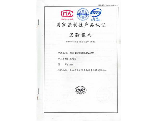 XM試驗(yàn)報(bào)告1